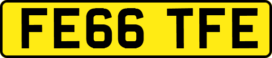 FE66TFE