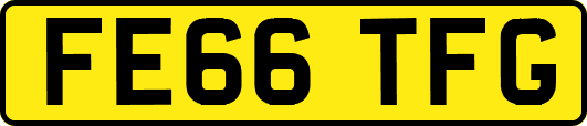 FE66TFG
