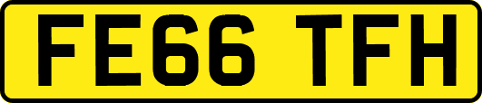 FE66TFH