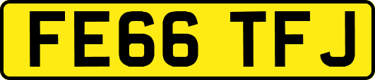 FE66TFJ