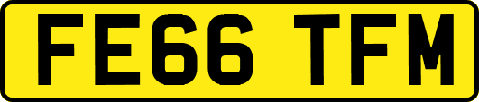 FE66TFM