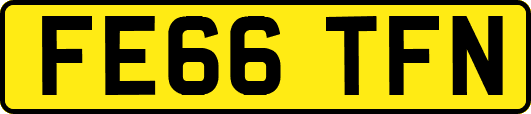 FE66TFN