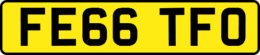 FE66TFO