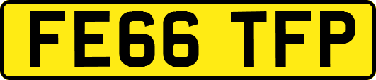 FE66TFP