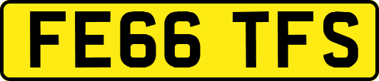 FE66TFS