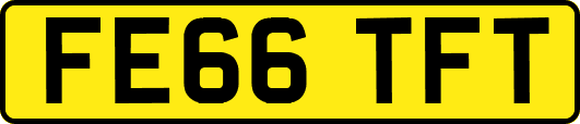 FE66TFT