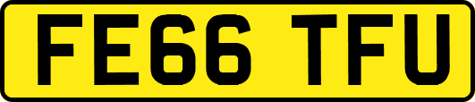 FE66TFU