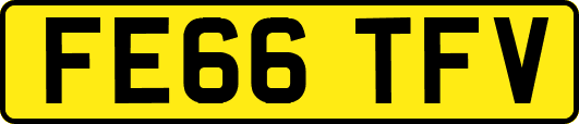 FE66TFV