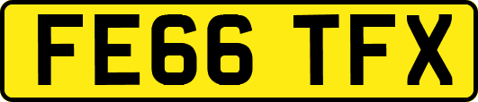 FE66TFX
