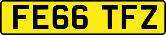 FE66TFZ