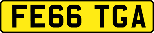 FE66TGA