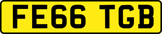 FE66TGB