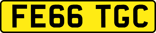 FE66TGC