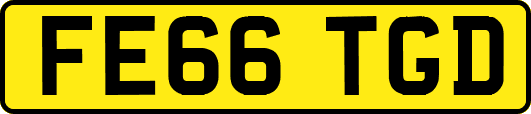 FE66TGD