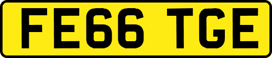 FE66TGE