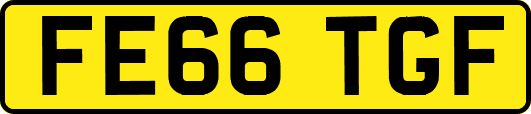 FE66TGF