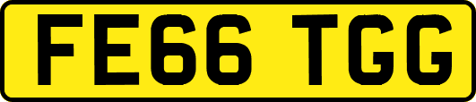 FE66TGG