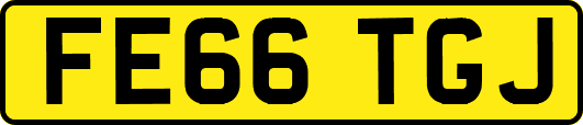 FE66TGJ