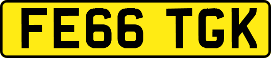 FE66TGK