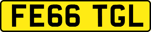 FE66TGL