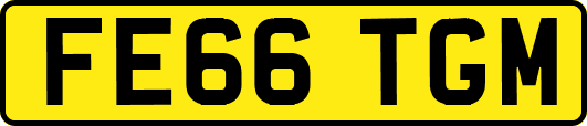 FE66TGM