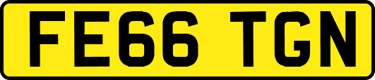 FE66TGN