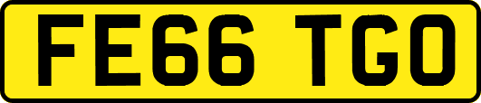 FE66TGO