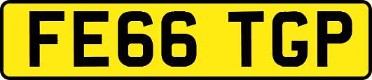 FE66TGP
