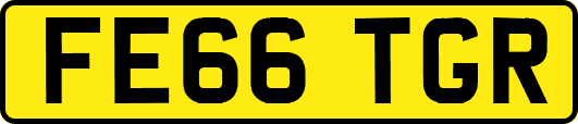 FE66TGR
