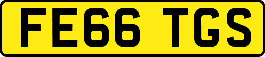 FE66TGS