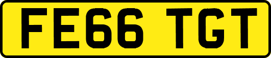 FE66TGT