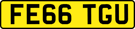 FE66TGU