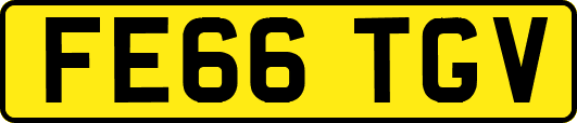 FE66TGV