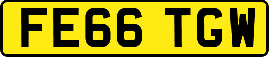 FE66TGW