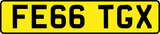 FE66TGX