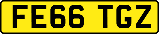 FE66TGZ