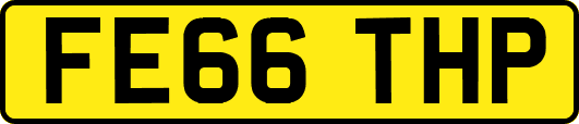 FE66THP