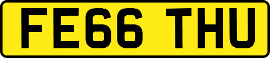FE66THU