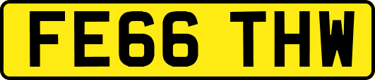 FE66THW