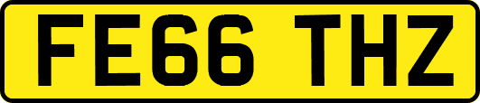 FE66THZ