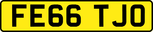 FE66TJO