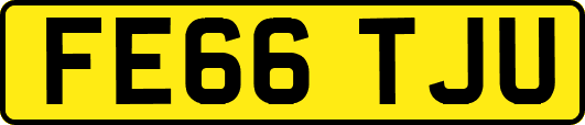 FE66TJU
