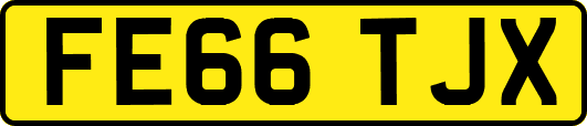 FE66TJX