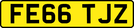 FE66TJZ