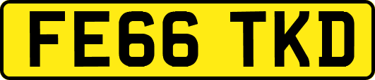 FE66TKD