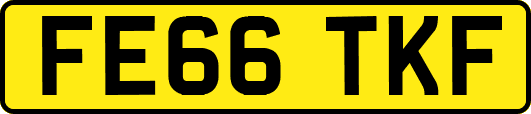 FE66TKF
