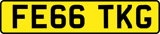 FE66TKG
