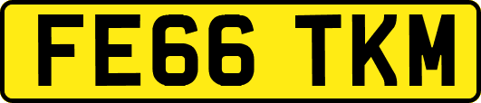 FE66TKM