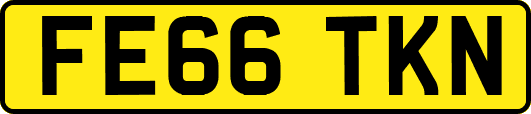 FE66TKN
