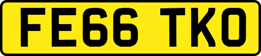 FE66TKO